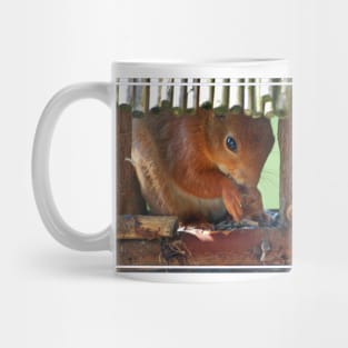 Squirrel Mug